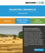 Obrazek przedstawia okładkę październikowego wydania biuletynu KSOW+