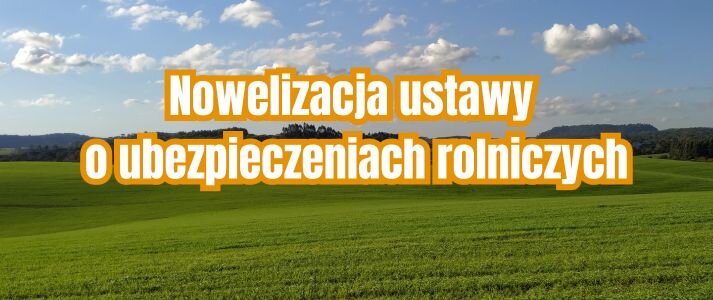 Grafika przedstawia horyzont nieba i zielonej trawy.