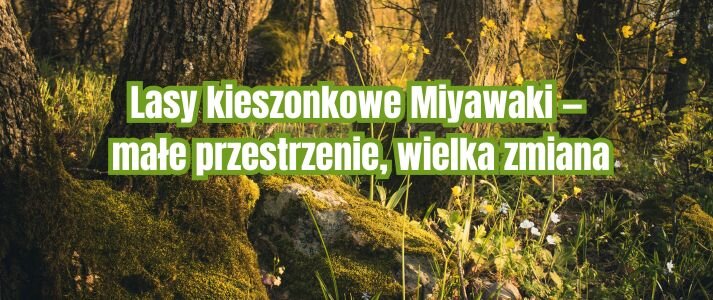 Grafika lasu.