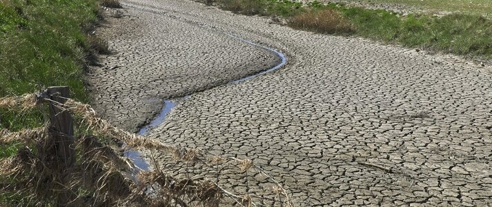 Zdjęcie przedstawia wysuszone koryto rzeki.