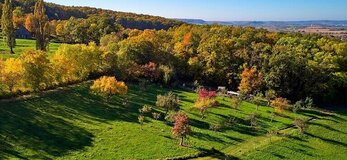 Zdjęcie przedstawia krajobraz wsi