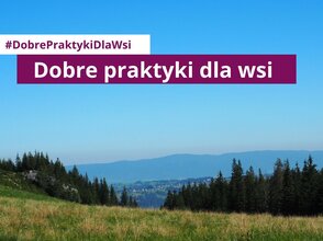 Zdjęcie przedstawia góry