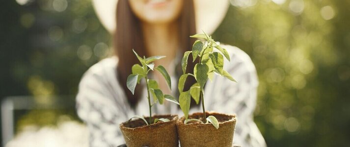 Zdjęcie przedstawia kobiete trzymającą sadzonki roślin
