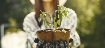 Zdjęcie przedstawia kobiete trzymającą sadzonki roślin