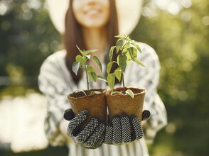 Zdjęcie przedstawia kobiete trzymającą sadzonki roślin
