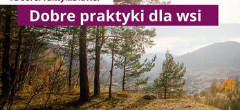 Obrazek przedstawia las i panorame górską