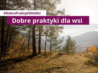 Obrazek przedstawia las i panorame górską