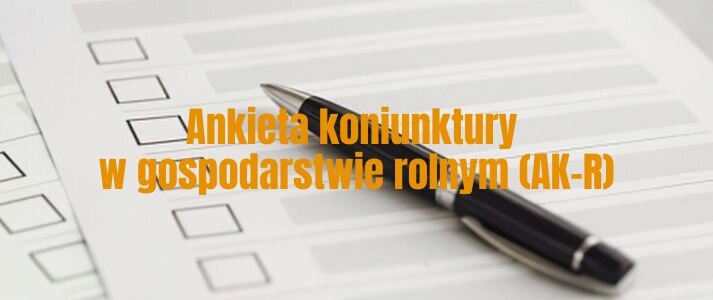Pusty arkusz ankiety.