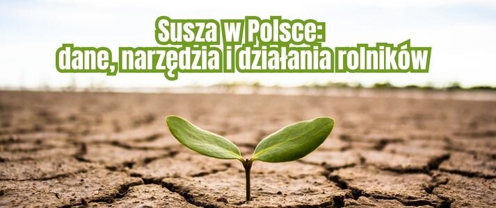 Roślina przebijająca się przez suchą glebę