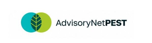 Obrazek przedstawia logo Advisory Net PEST