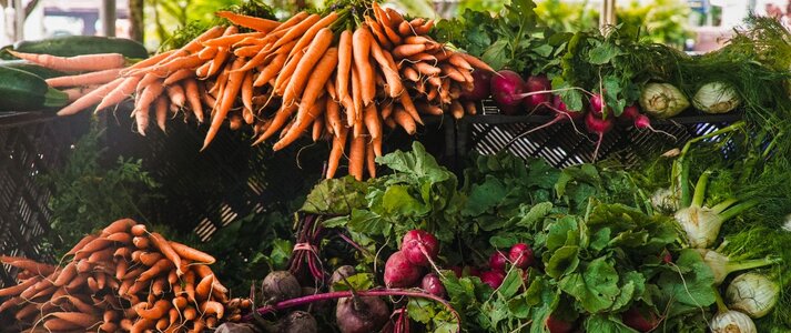 Obrazek przedstawia warzywa: marchew, buraki, koper włoski