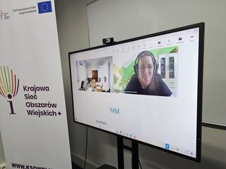 Obrazek przedstawia ekran z uczestnikiem spotkania online. 