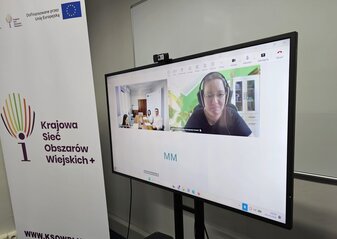 Obrazek przedstawia ekran z uczestnikiem spotkania online. 