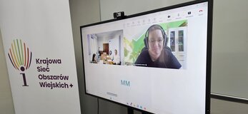 Obrazek przedstawia ekran z uczestnikiem spotkania online. 