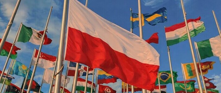 Obrazek przedsatwia flagę polski na tle flag innych krajów