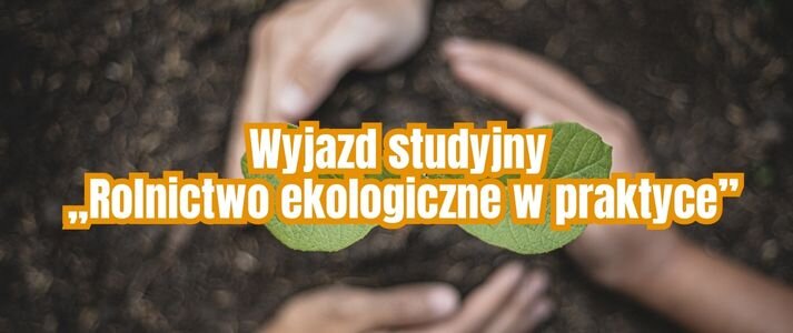 Kiełkująca roślina otoczona dłońmi.