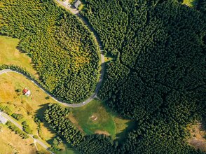 Widok na pola i las z lotu ptaka.