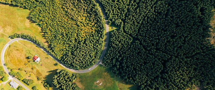 Widok na pola i las z lotu ptaka.