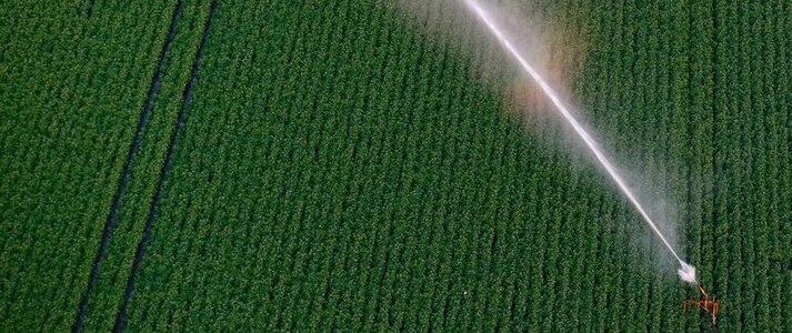 Zdjęcie przedstawia nawadnianie pola
