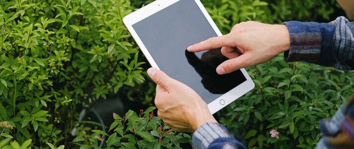 Obrazek przedstawia rolnika z tabletem przy roślinach
