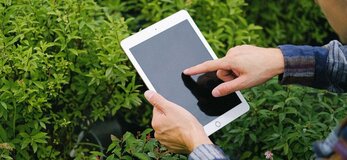 Obrazek przedstawia rolnika z tabletem przy roślinach