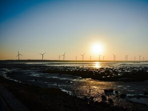 Zdjęcie przedstawia wiatraki o zachodzie słońca