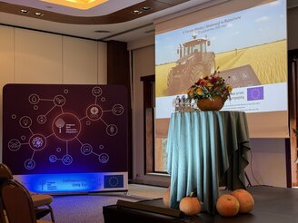 Obrazek przedstawia ściankę KSOW+ i ekran z plakatem forum