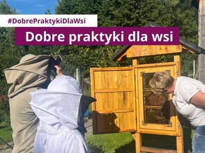 Zdjęcie przedstawia kobietę pokazującą ul 