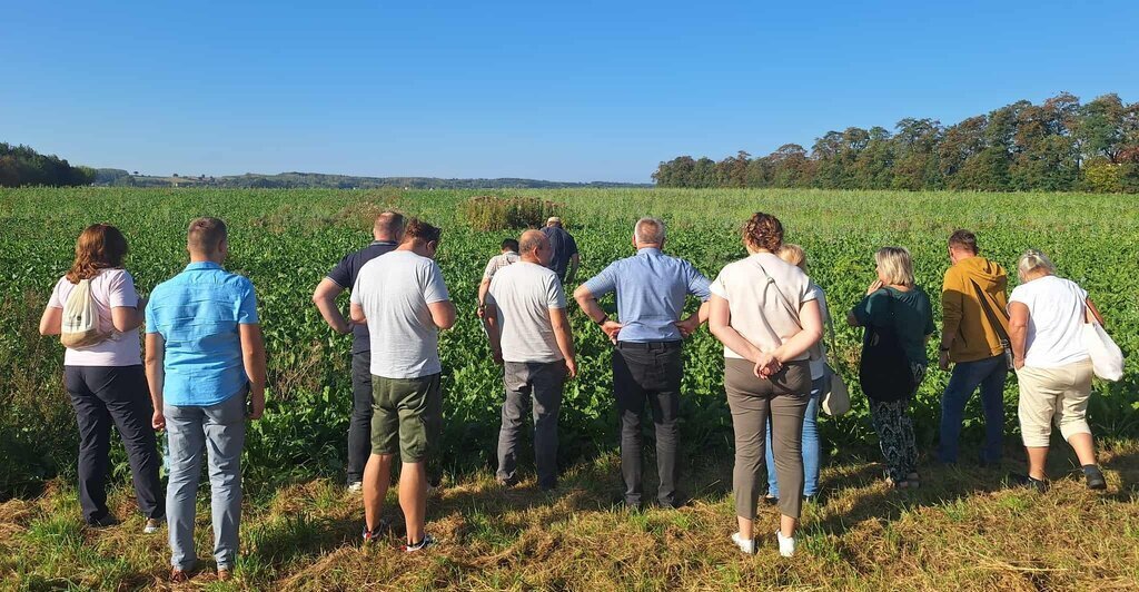 Zdjęcie przedstawia uczestników konferencji podczas wizyty styjnym na polu uprawnym. 