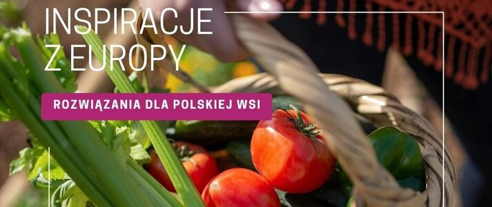 zdjęcie przedstawia okładkę kampanii