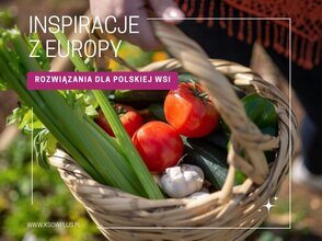 zdjęcie przedstawia okładkę kampanii