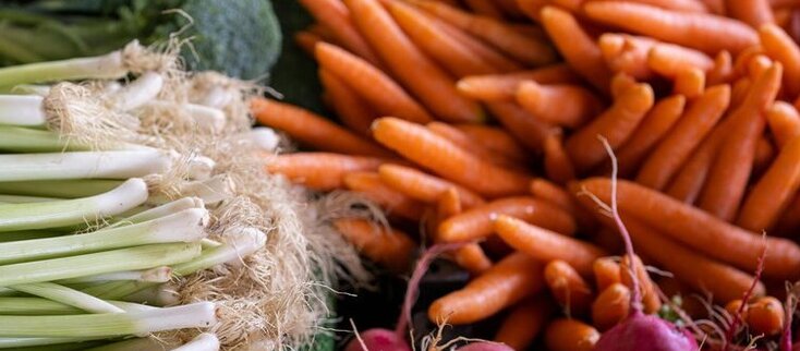 Obrazek przedstawia warzywa: marchew rzodkiewkę, pora, selera