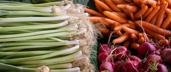 Obrazek przedstawia warzywa: marchew, por, rzodkiewkę seler