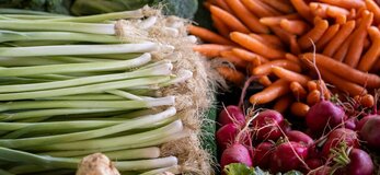 Obrazek przedstawia warzywa; marchew, por, rzodkiewkę seler