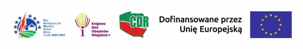 Obrazek przedstawia ciąg logotypów: PS WPR, KSOW+, CDR, Flaga UE z napisem Dofinansowane przez Unię Europejską.