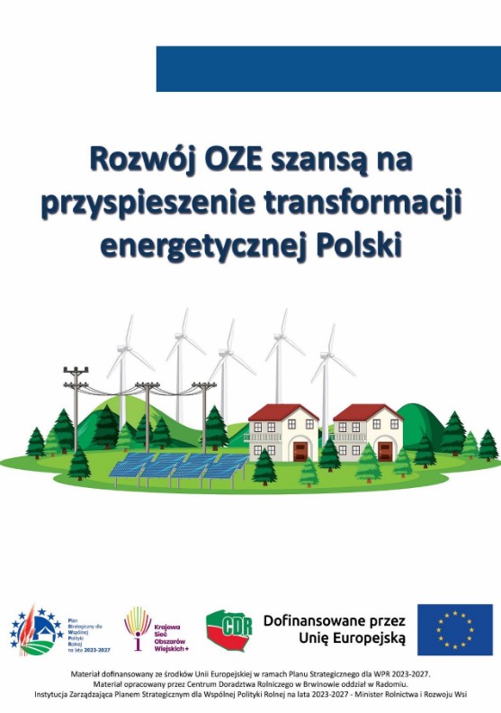 Obrazek przedstawia okładkę publiakcji 