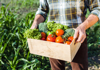 cropped view of senior man holding box with vegetables