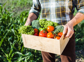 cropped view of senior man holding box with vegetables